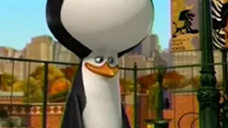 Penguin from Madagascar with big head