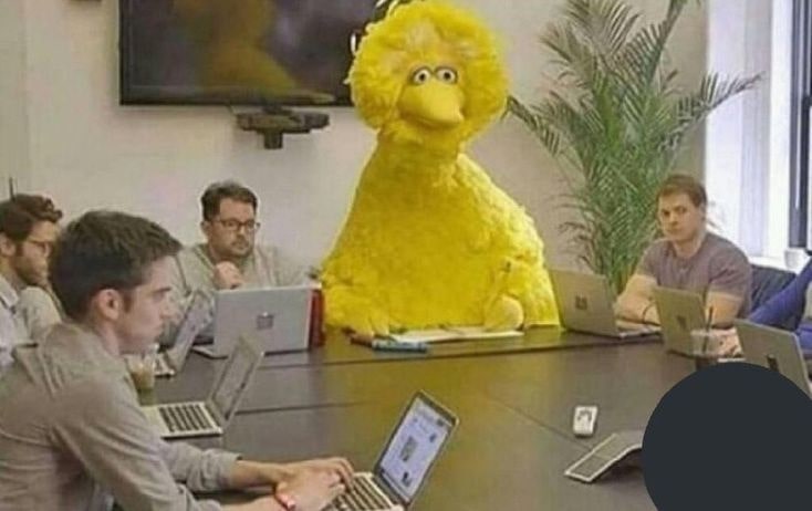Big Bird sitting in a meeting looking confused