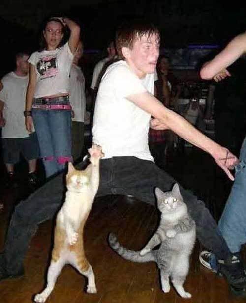 A guy dancing hard with his cats
