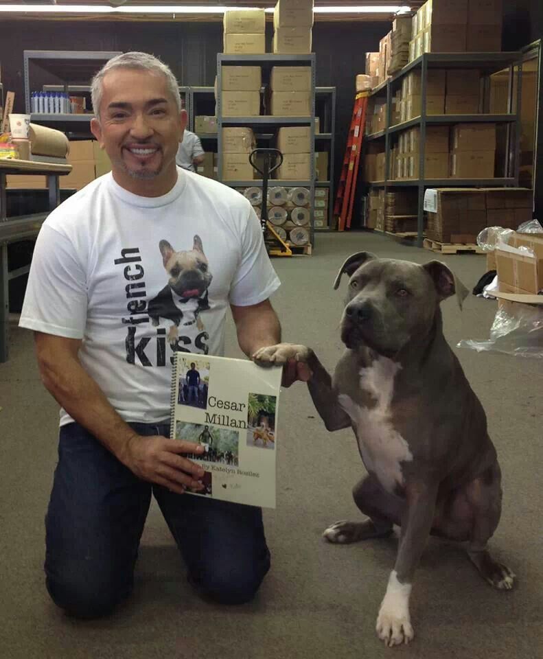 Cesar Millan kneeling beside a dog with its paw resting on his book