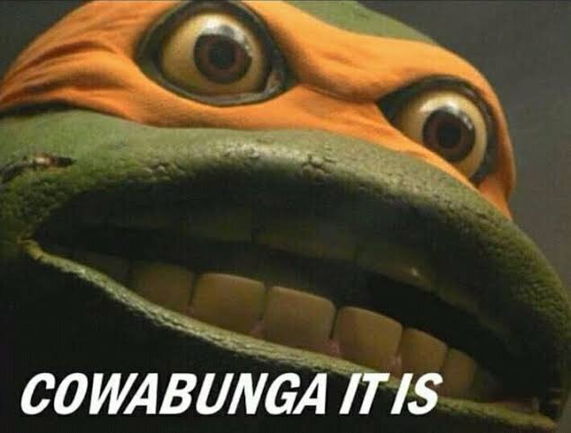Close up of a Ninja Turtle saying Cowabunga it is