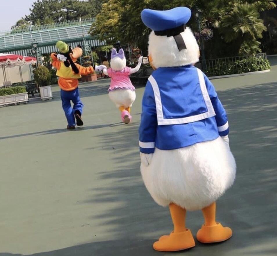 Donald Duck watching Goofy hold hands with Daisy Duck