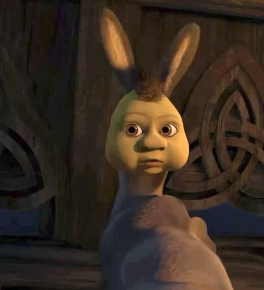 Donkey + Shrek baby