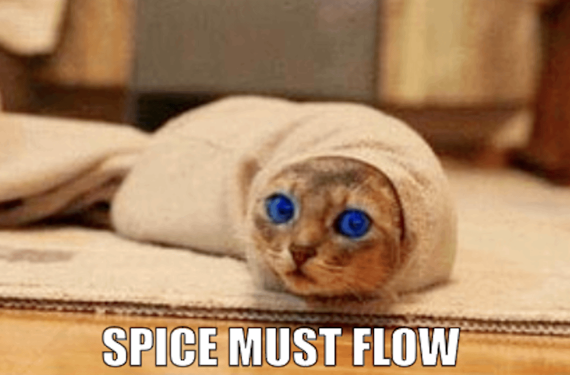 Dune Cat Meme