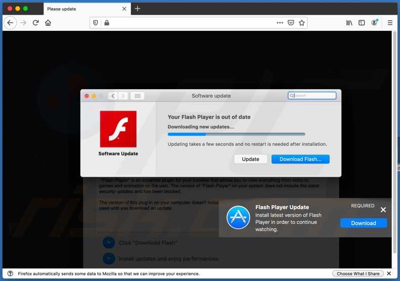 Update your Flash Player