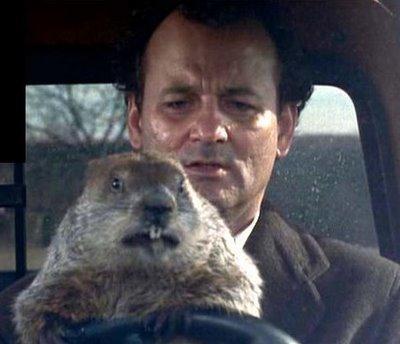 A groundhog driving a car with Bill Murray in the movie Groundhog Day