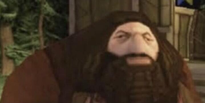 Hagrid as a video game character with a stretched out face