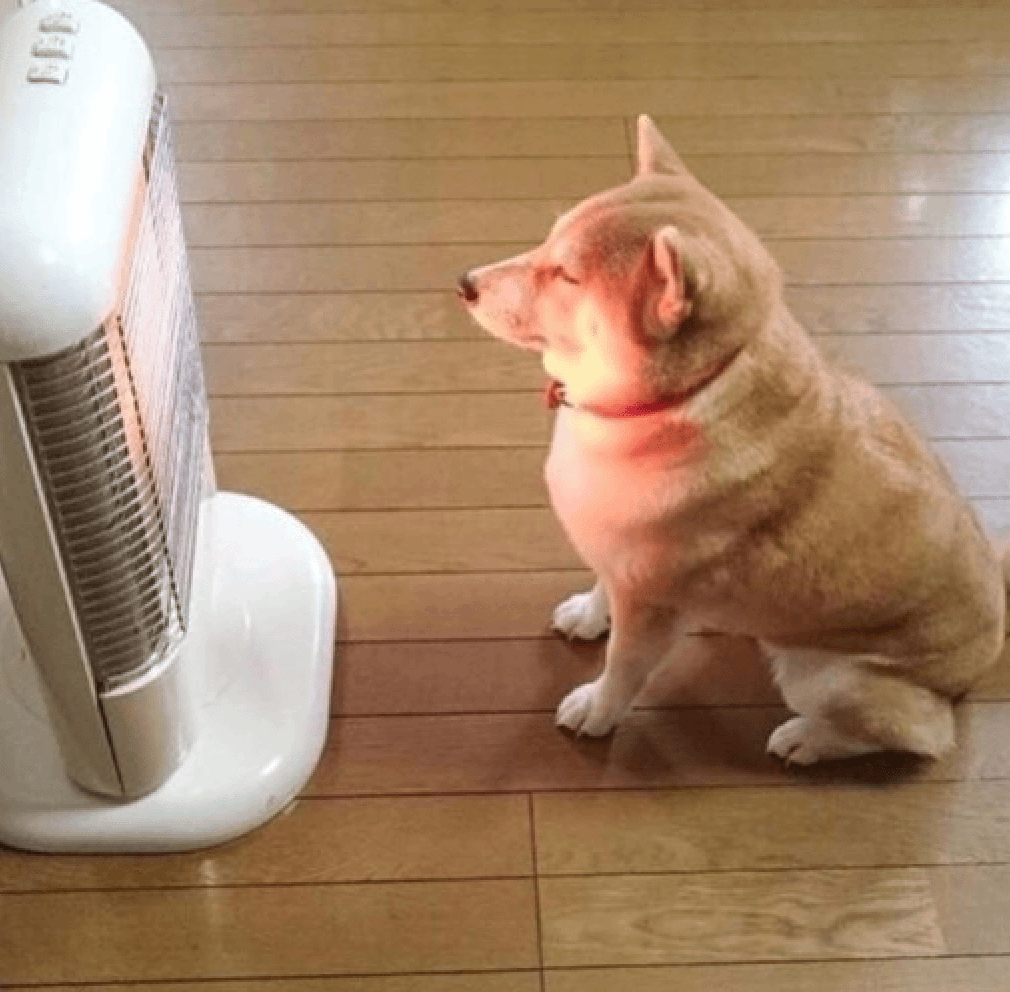 Dog in front of a heater lol