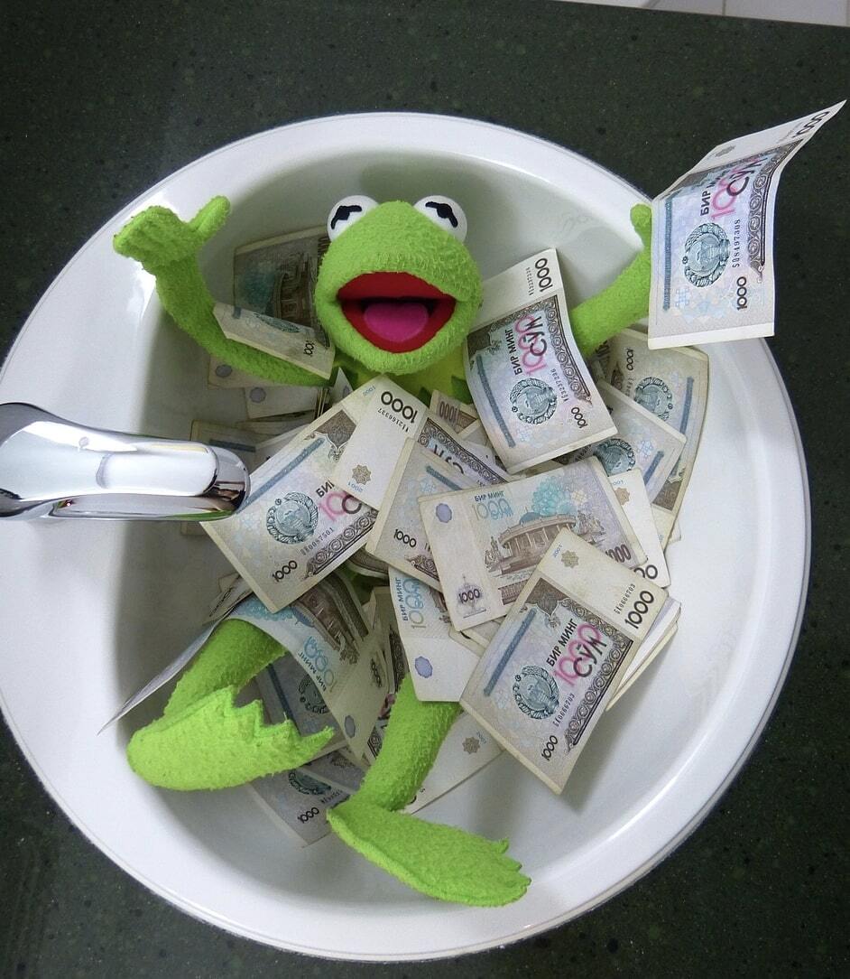 Kermit with money on top of him in a sink.