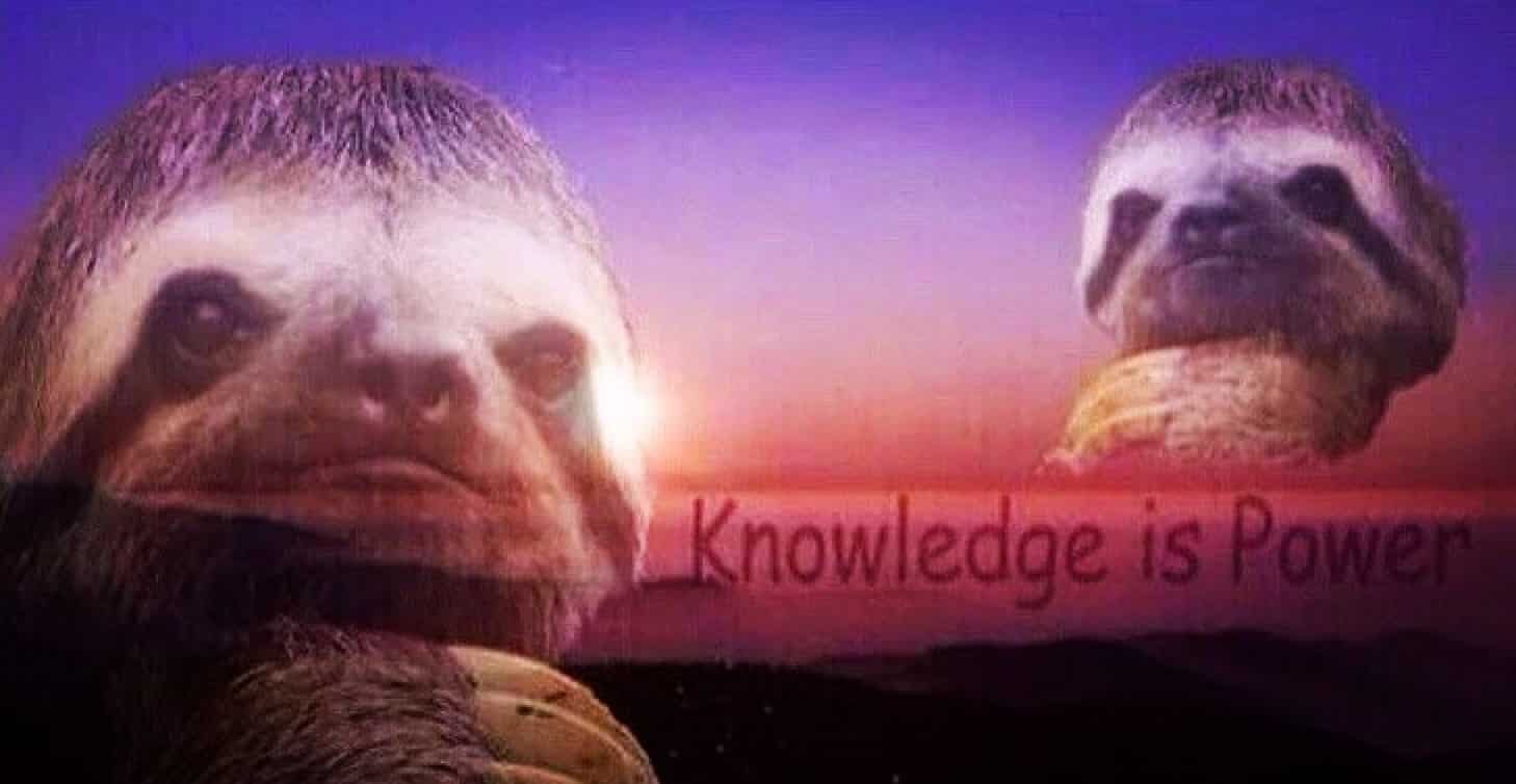 A sloth saying Knowledge is Power