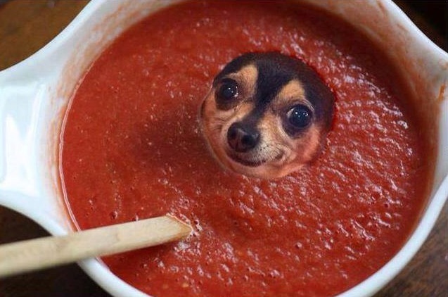 A dog's face in red pasta sauce