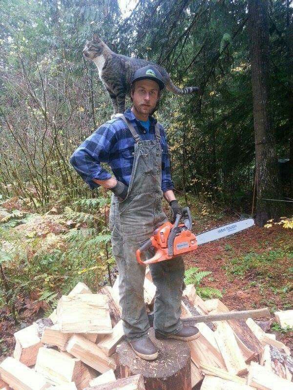 A lumberjack holding a chainsaw with a cat standing on his shoulders