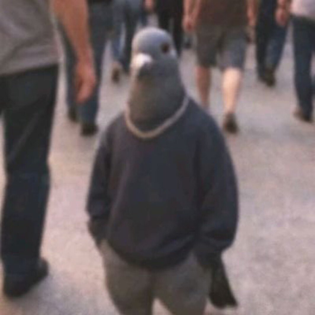 A man with a pigeon's head