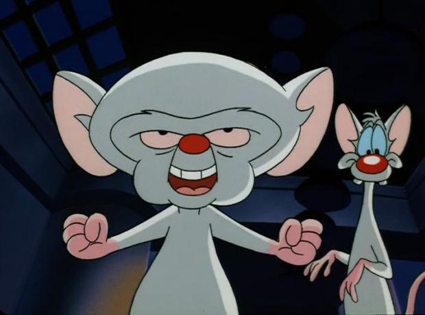 Pinky and the Brain mice with Brain looking triumphant