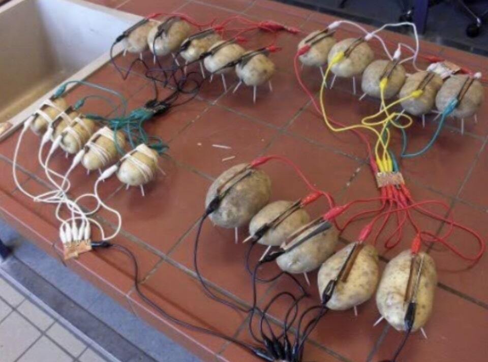 Potatoes wired together 