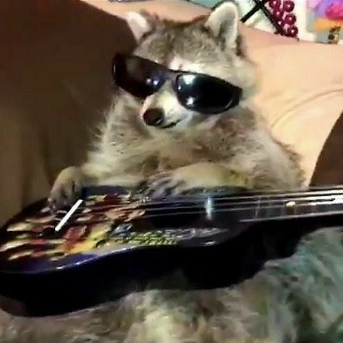 A raccoon with a magic wand