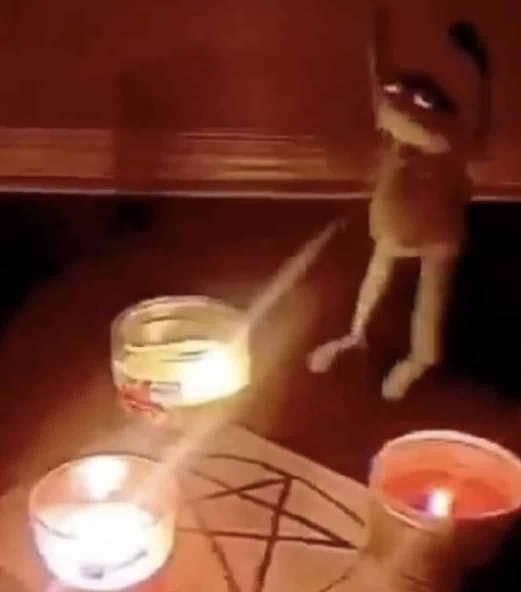 A Kermit puppet around a pentagram with candles