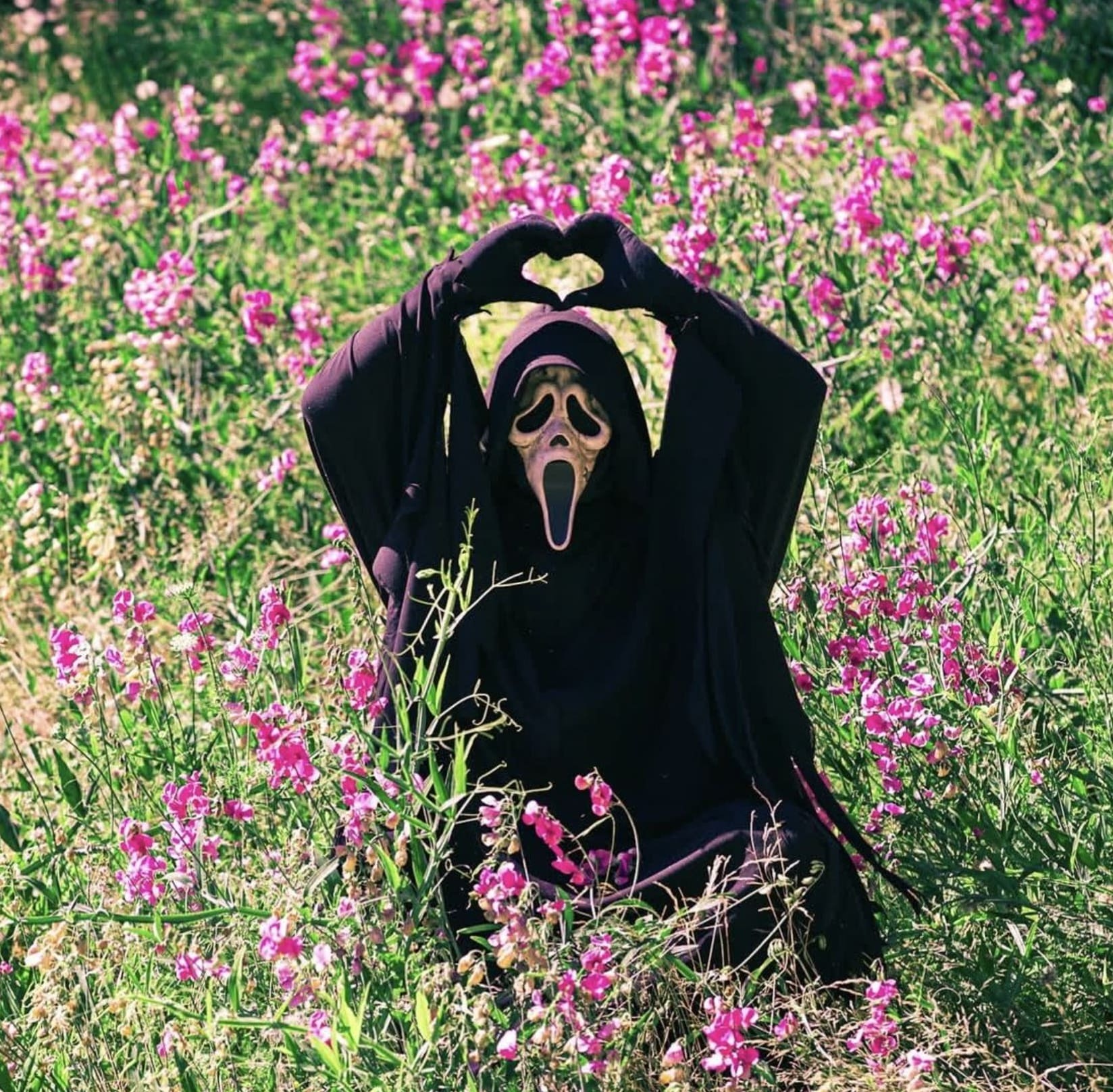 Scream holding up heart hands in a field of flowers