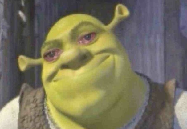 Shrek looking sad