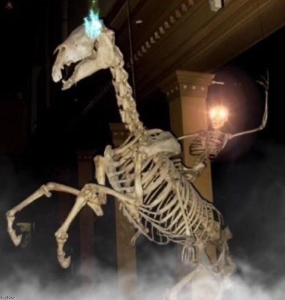 A skeleton riding on top of a skeleton horse