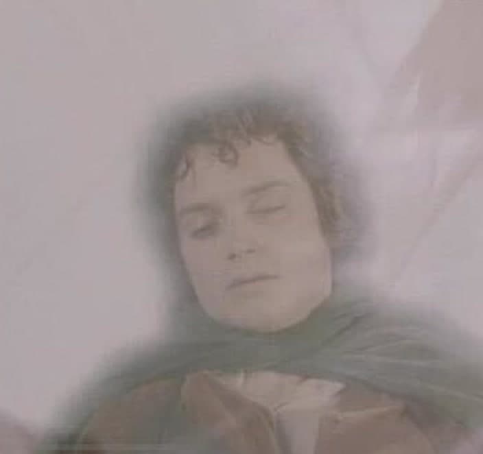 Sleepy Frodo