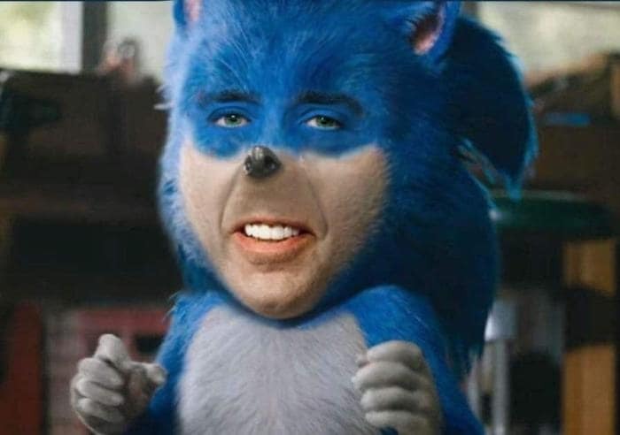Nic Cage's face photoshopped onto Sonic the Hedgehog