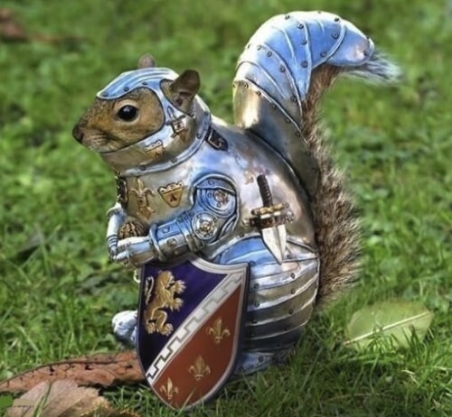 squirrel in armor