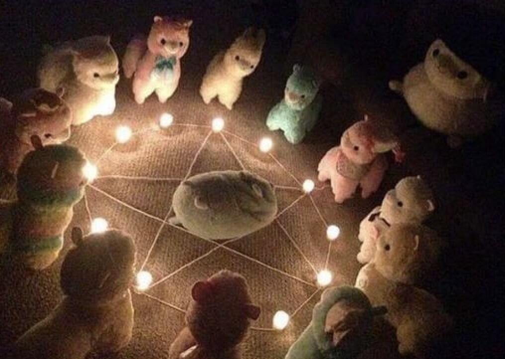 Stuffed animals doing a summoning circle