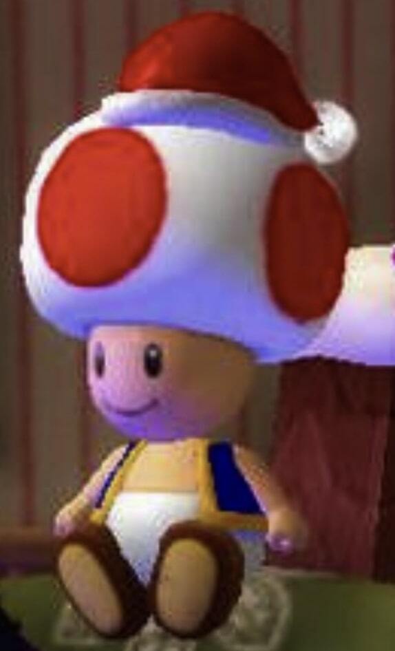 Toad with a Santa hat on